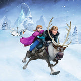 Disney Aventures au pays des neiges 3x 49 mcx