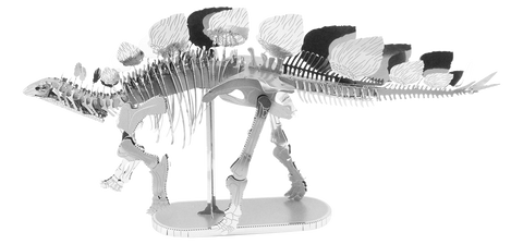 Stegosaurus Skeleton