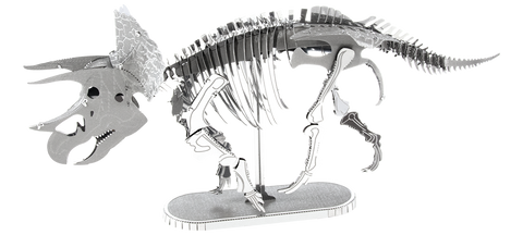 Triceratops Skeleton