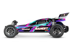 Bandit VXL 2022